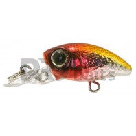 ANRES / PALMS Bug Minnow